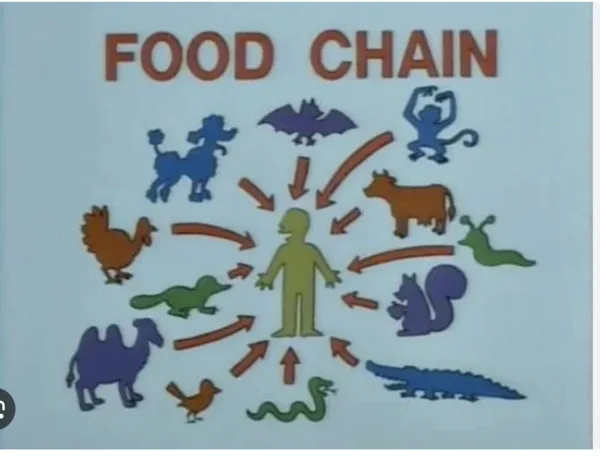 Food Chain volgens de Simpsons
