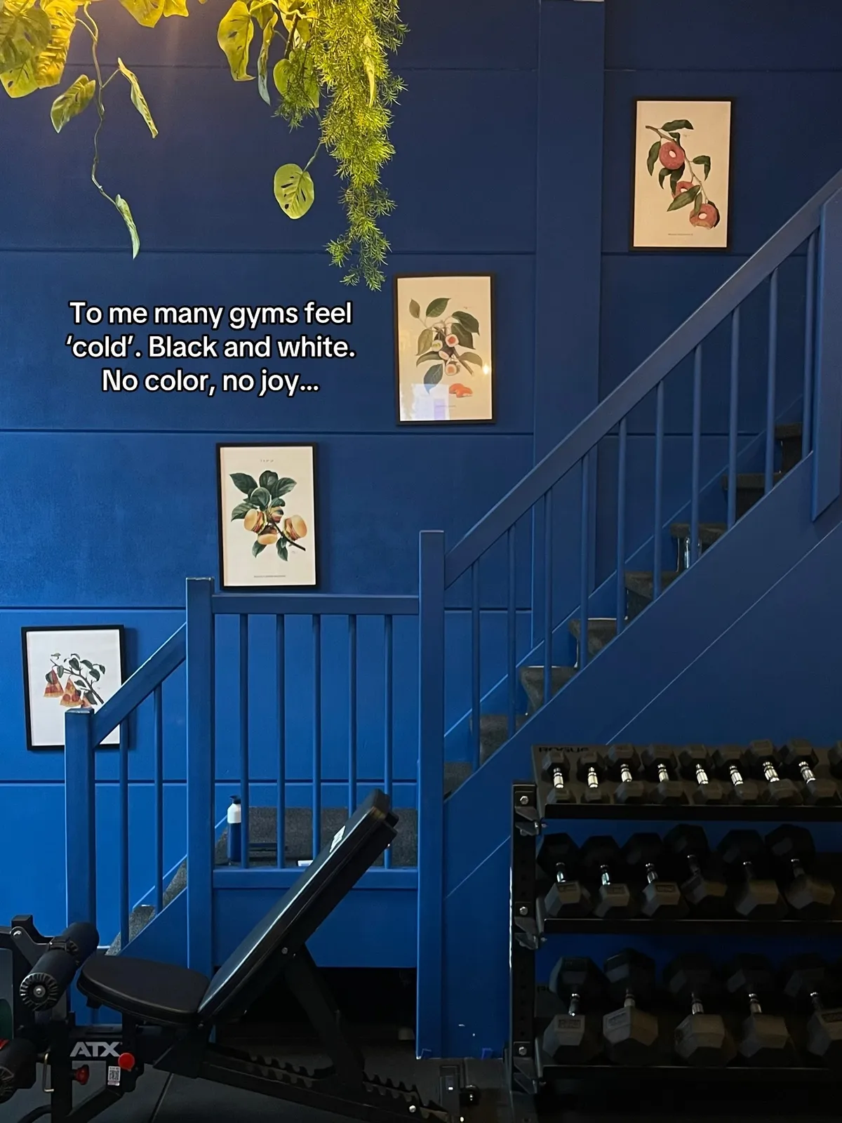No Ego Fitness blauwe wand met kunst